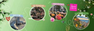 Aesthetic Seasons de Morgane Moncomble