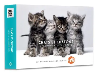 Agenda – Calendrier Chats et chatons 2026