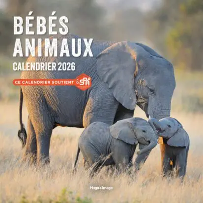 Calendrier mural Bébés Animaux 2026