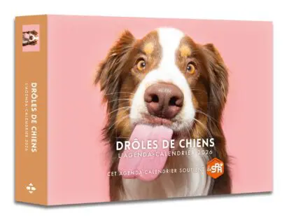 Agenda – Calendrier Drôles de chiens 2026