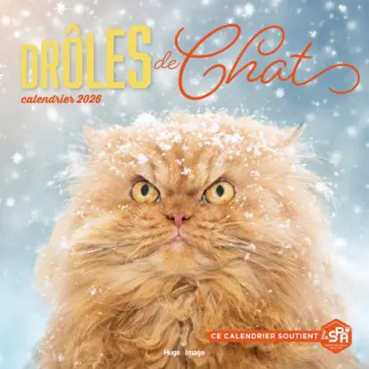 Calendrier mural Drôles de chats 2026