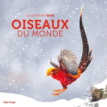Calendrier mural Oiseaux du monde 2026