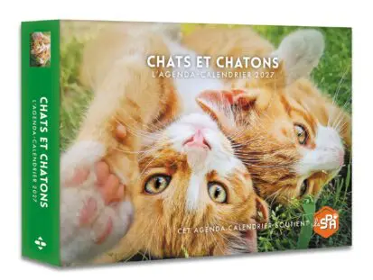 Chats et chatons – Agenda – Calendrier – 2027