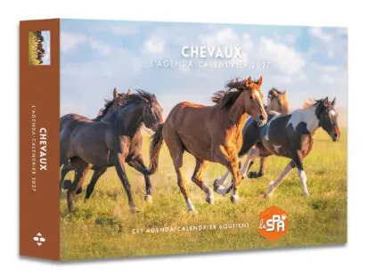 Chevaux – Agenda – Calendrier – Semainier 2027