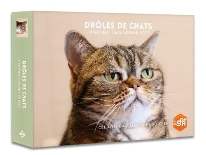 Drôles de chats – Agenda – Calendrier – Semainier 2027