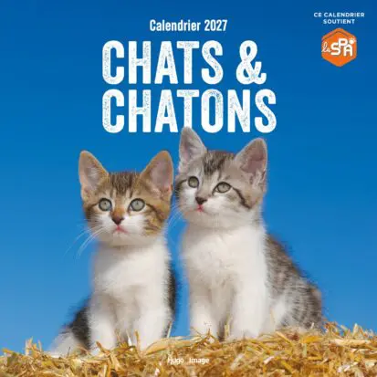 Calendrier mural Chats et Chatons 2027