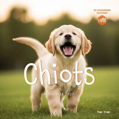 Calendrier mural Chiots 2027