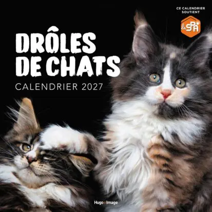Calendrier mural Drôles de chats 2027