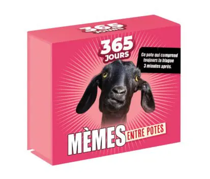 365 jours – Mèmes entre potes