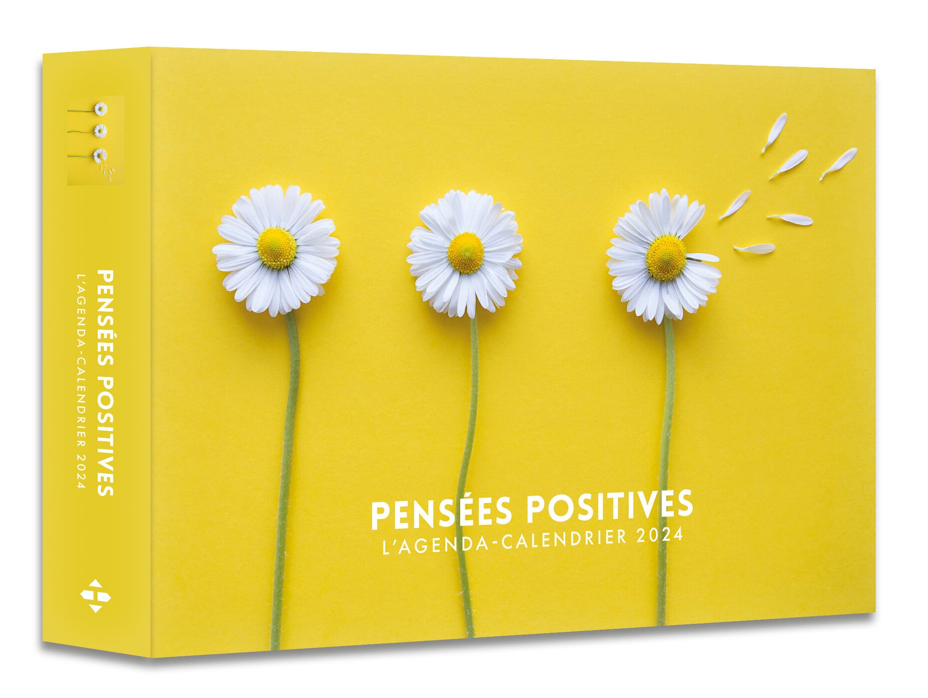 Agenda - Calendrier Pensées positives 2024 - Hugo Publishing