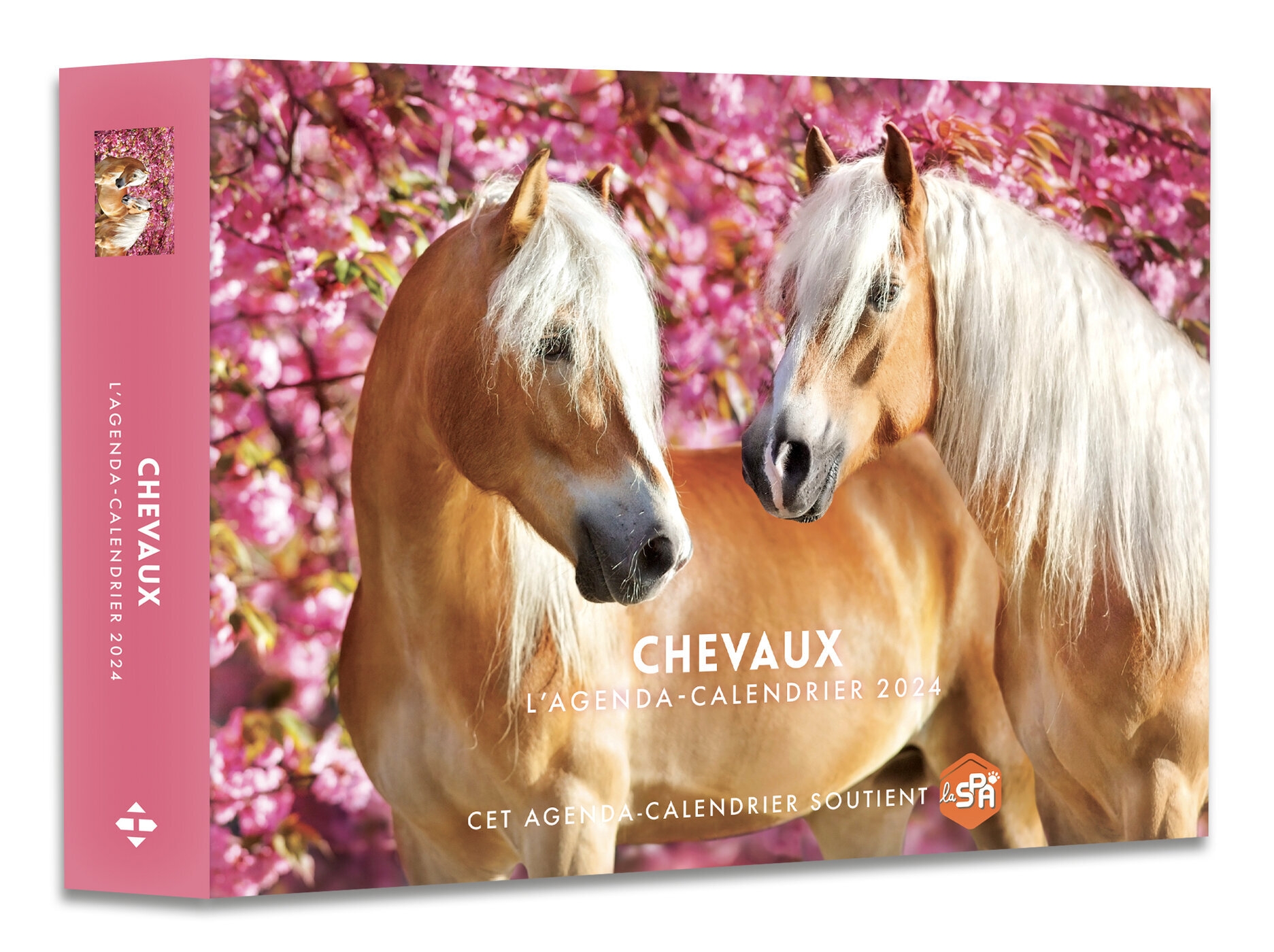 Agenda - Calendrier Chevaux 2024 - Hugo Publishing