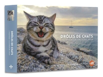 Agenda – Calendrier Drôles de chats 2024