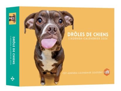 Agenda – Calendrier Drôles de chiens 2024