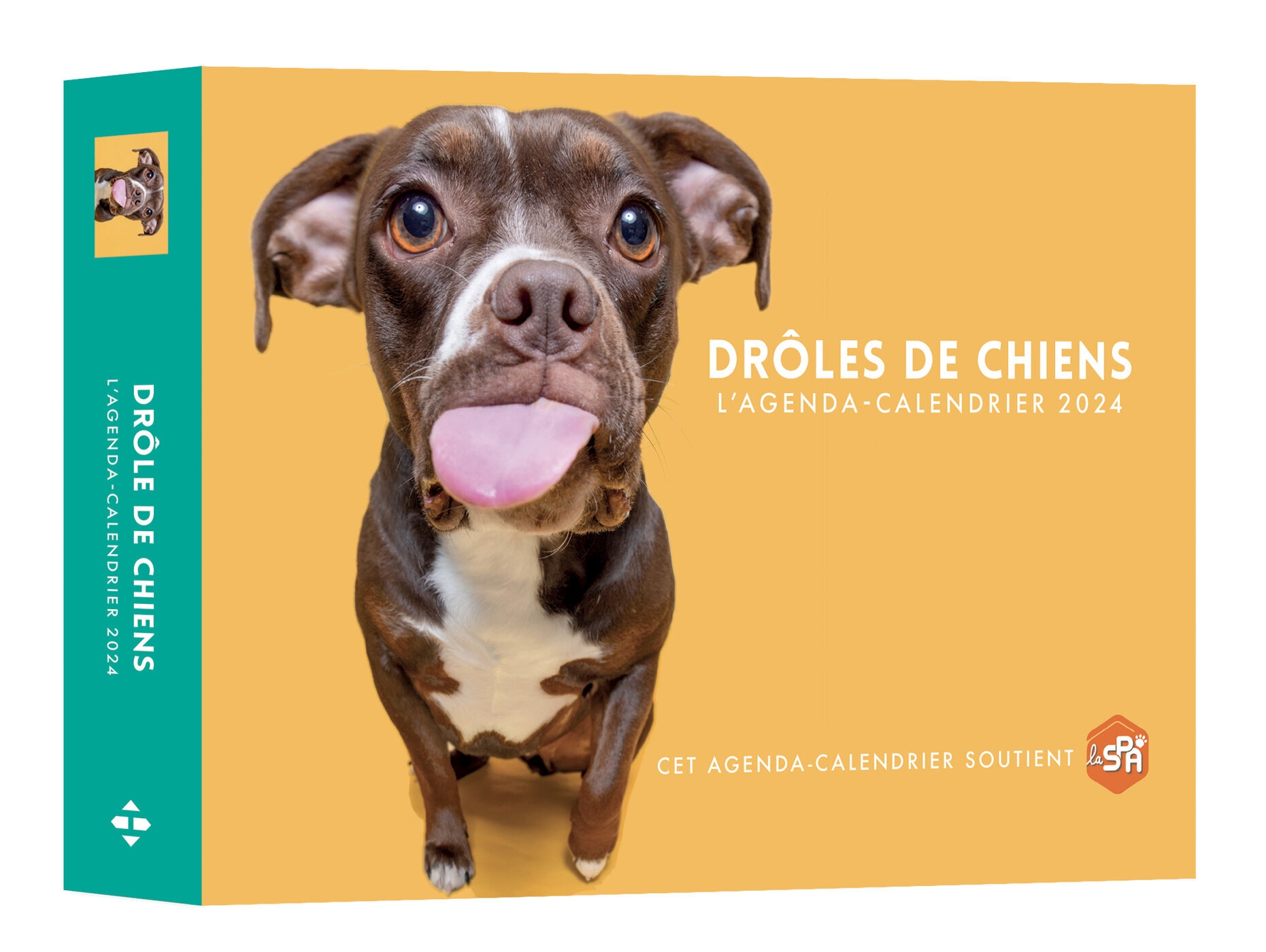 Agenda Calendrier Drôles de chiens 2024 Hugo Publishing