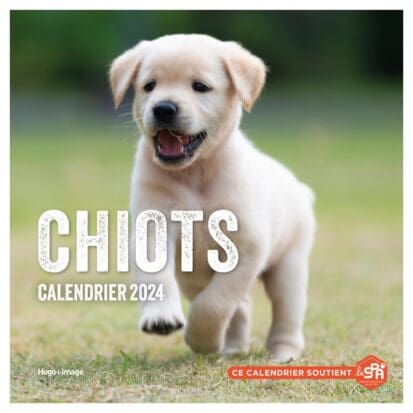 Calendrier mural chiots 2024