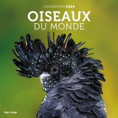 Calendrier mural oiseaux du monde 2024