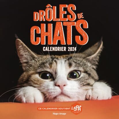 Calendrier mural drôles de chats 2024