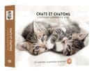 Agenda - Calendrier Chats et chatons 2024