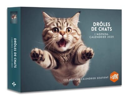 Agenda – Calendrier Drôles de chats 2025