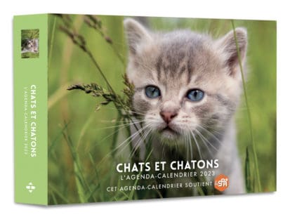 Agenda – Calendrier Chats et Chatons 2023