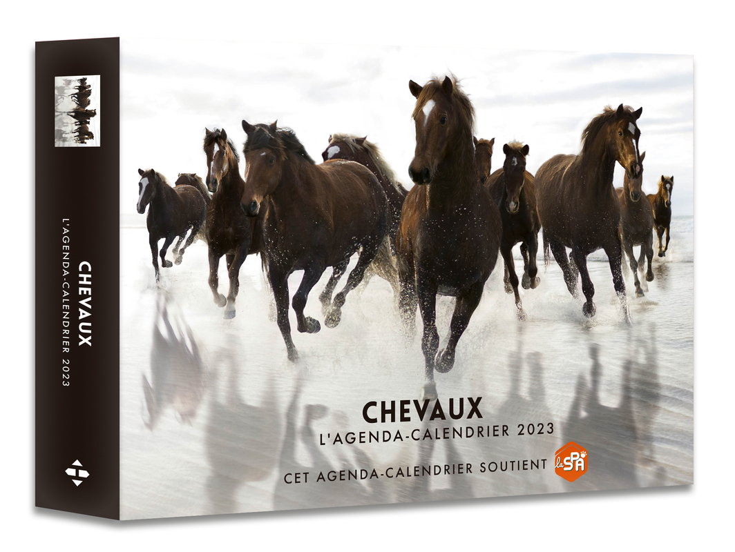 Agenda - Calendrier Chevaux 2023 - Hugo Publishing