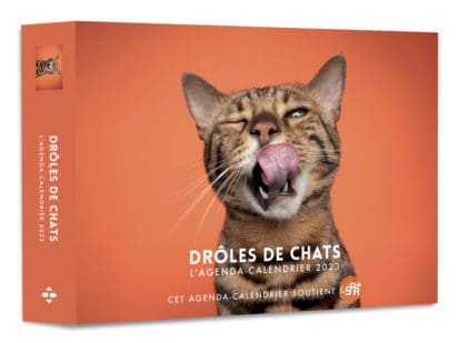 Agenda – Calendrier Drôles de chats 2023