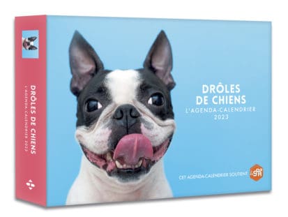 Agenda – Calendrier drôles de chiens 2023