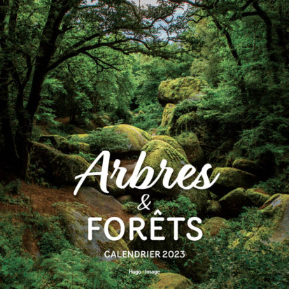 Calendrier Mural Arbres et Forêts 2023