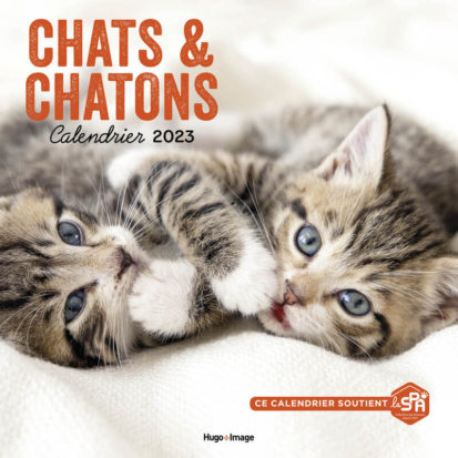 Calendrier Mural Chats et Chatons 2023