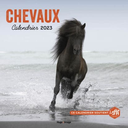 Calendrier Mural Chevaux 2023 - Hugo Publishing