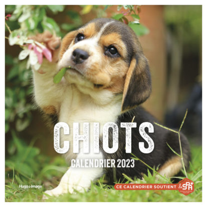 Calendrier Mural Chiots 2023