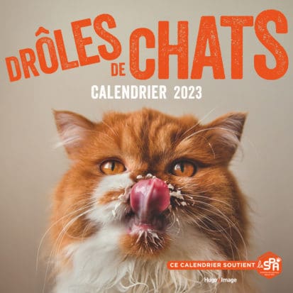 Calendrier Mural – Drôles de chats 2023